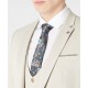 Remus Uomo Slim Fit Suit