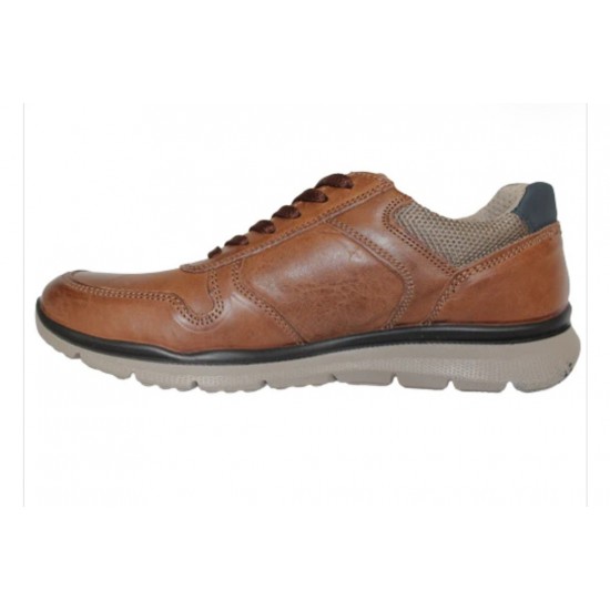 Imac Bologna Shoes