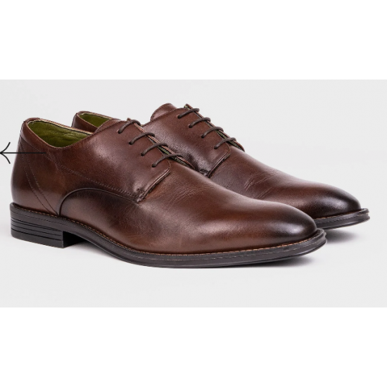 Dapper Brown Shoe
