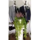 White Label Blazer