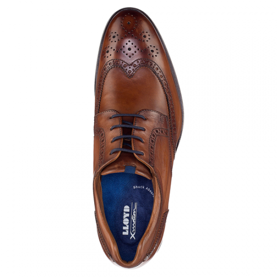 Lloyd Shoe 
