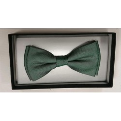 Zazzi Green Bow Tie 